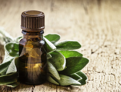The Ancient Benefits of Sage Oil: History and Uses