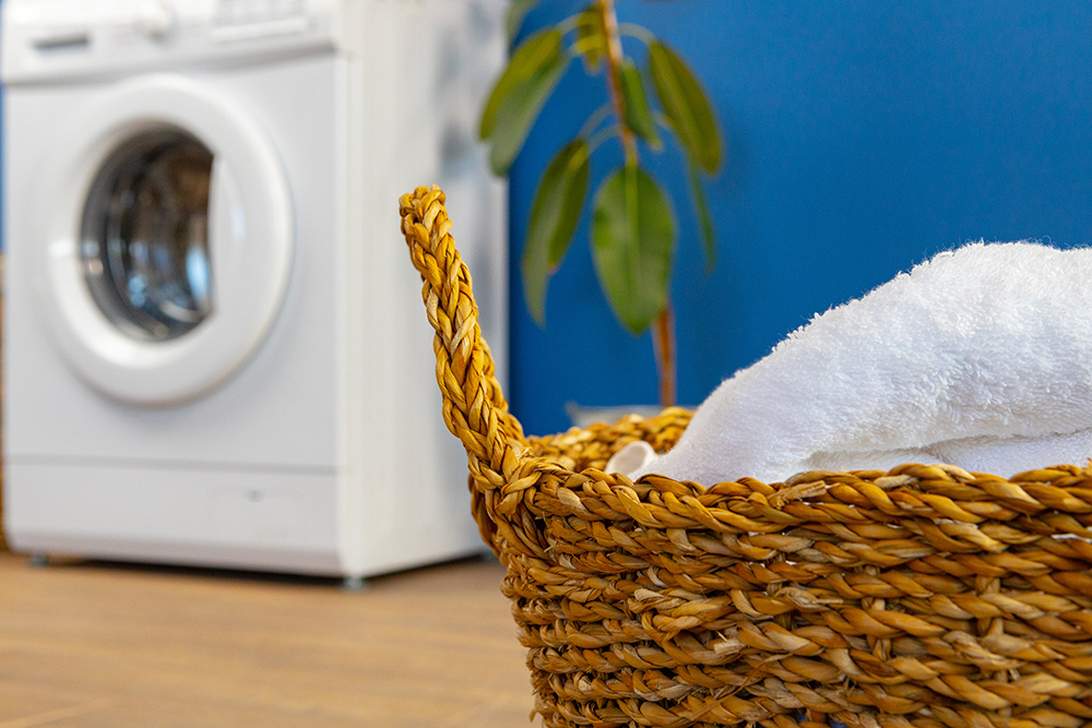 best laundry detergent for septic systems