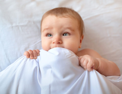 Cotton Baby Blankets: Everything You Need to Know
