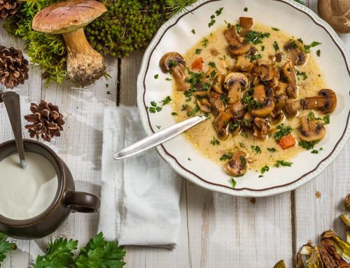 The Benefits of Mushrooms: A Guide to the Nutritional Benefits of Fungi