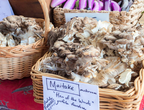 The Magic of Maitake Mushrooms: Health Benefits and Nutritional Facts