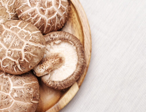 Discover the Health Benefits and Risks of the Shiitake Mushroom