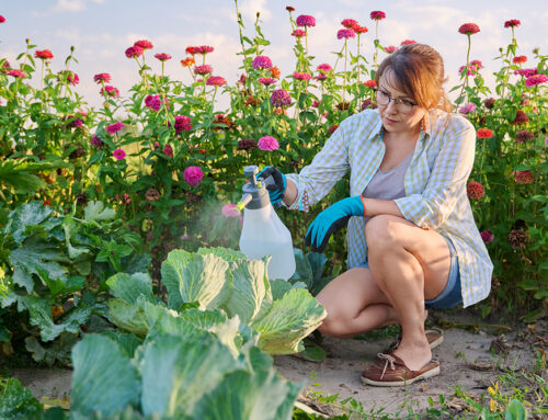 10 Effective Organic Pest Control Methods That Work